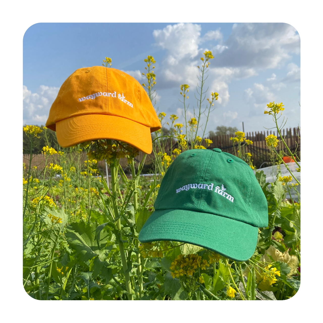 farm hat